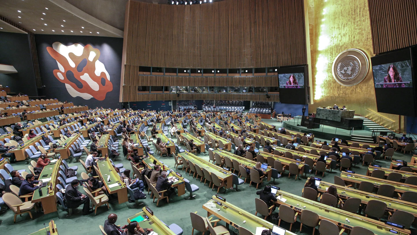 La Asamblea General de la ONU La Asamblea General de la ONU