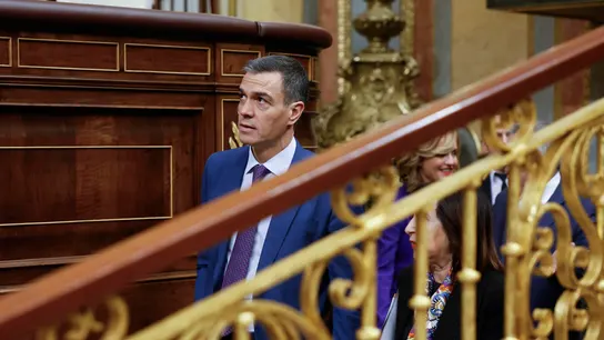 El presidente del Gobierno, Pedro Sánchez, este miércoles en el Congreso que acoge la sesión de control al Ejecutivo El presidente del Gobierno, Pedro Sánchez, este miércoles en el Congreso que acoge la sesión de control al Ejecutivo