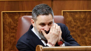 El l&iacute;der de VOX, Santiago Abascal, este mi&eacute;rcoles en el Congreso de los Diputados durante la sesi&oacute;n de control al Ejecutivo. 