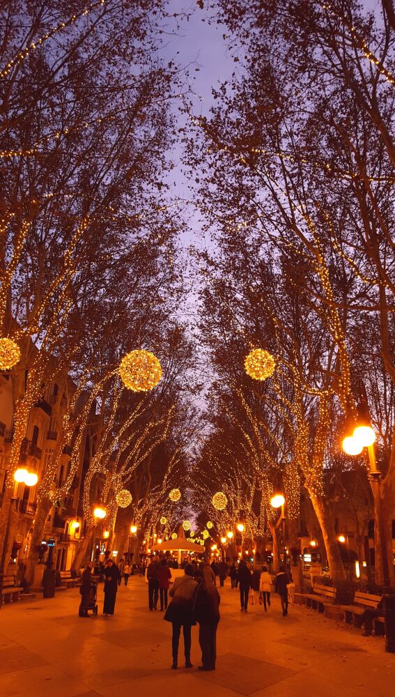 Navidad en Palma