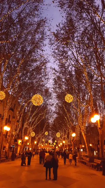 Navidad en Palma Navidad en Palma