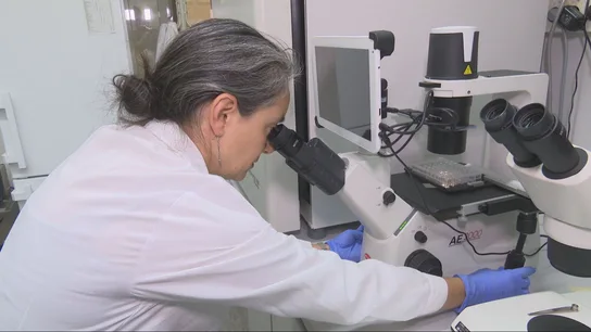 Una científica trabaja en el laboratorio Una científica trabaja en el laboratorio