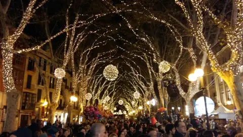 Palma Palma