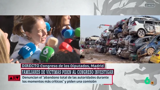 Meri, víctima de la DANA en el Congreso de los Diputados Meri, víctima de la DANA en el Congreso de los Diputados