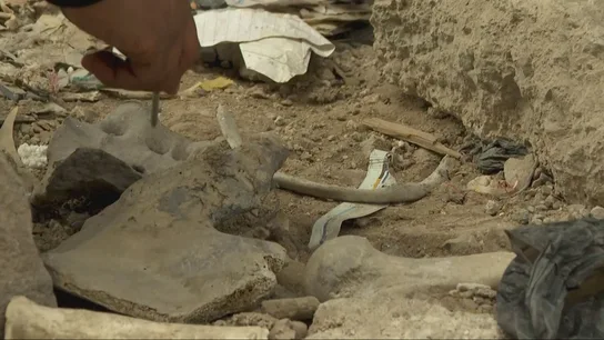 Restos de humanos en el barrio de Tadamón, en Damasco Restos de humanos en el barrio de Tadamón, en Damasco