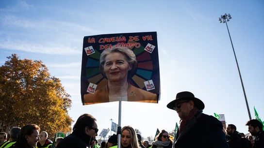 Una mujer con un cartel con la cara de la presidenta de la Comisión Europea, durante una protesta de agricultores y ganaderos frente al Ministerio de Agricultura, a 16 de diciembre de 2024, en Madrid (España). Una mujer con un cartel con la cara de la presidenta de la Comisión Europea, durante una protesta de agricultores y ganaderos frente al Ministerio de Agricultura, a 16 de diciembre de 2024, en Madrid (España).