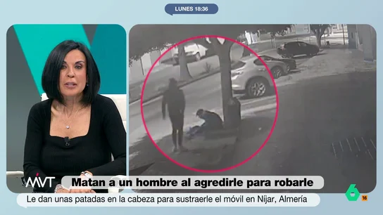 Beatriz de Vicente, sobre la brutal agresión de Almería: "Intentarán rebajarlo a homicidio imprudente" Los agresores propinaron varias patadas en la cabeza a un hombre que estaba sentado en una acera para robarle el móvil y la cartera. Han sido acusados de homicidio doloso y robo con violencia.