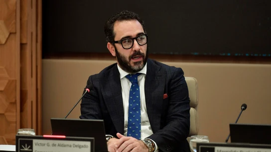 El empresario Víctor de Aldama, en una imagen de archivo. El empresario Víctor de Aldama, en una imagen de archivo.