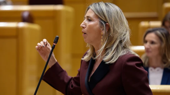 La portavoz popular en el Senado, Alicia García, interviene en el Senado La portavoz popular en el Senado, Alicia García, interviene en el Senado