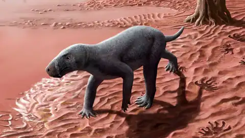 gorgonopsio gorgonopsio