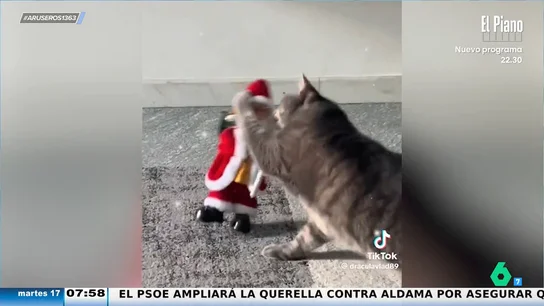 El divertido viral del gato que se harta del muñeco de Papá Noel y lo silencia de un golpe El divertido viral del gato que se harta del muñeco de Papá Noel y lo silencia de un golpe