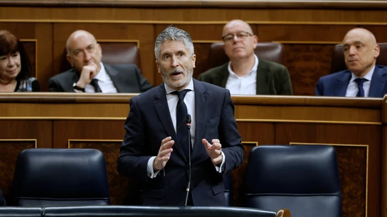 El ministro del Interior, Fernando Grande Marlaska, interviene en a la última sesión de control del año El ministro del Interior, Fernando Grande Marlaska, interviene en a la última sesión de control del año