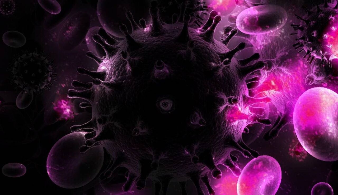 Virus de la inmunodeficiencia humana (VIH)