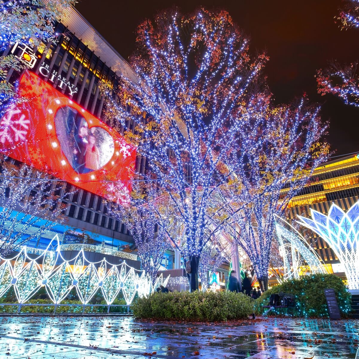 福袋 オンライン vive se Así la tradiciones 5 mundo: del alrededor Navidad 絵本