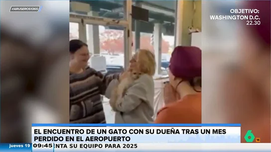 El emotivo encuentro de una dueña con su gato tras un mes perdido en el aeropuerto El emotivo encuentro de una dueña con su gato tras un mes perdido en el aeropuerto