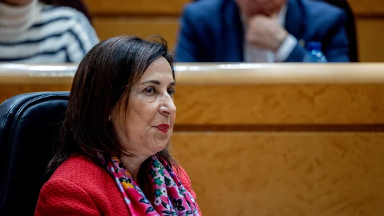 La ministra de Denfesa, Margarita Robles, en una imagen de archivo. La ministra de Denfesa, Margarita Robles, en una imagen de archivo.