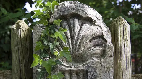 Camino de Santiago Camino de Santiago