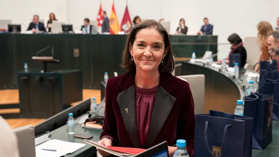 PP y Vox reprueban a Reyes Maroto por sus whatsapps con Aldama cuando era ministra La portavoz socialista en el consistorio madrileño, Reyes Maroto