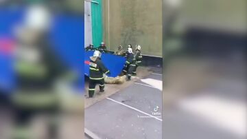 Bomberos