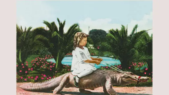 Detalle de la portada de 'Los hechos de Key Biscayne', de Xita Rubert Detalle de la portada de 'Los hechos de Key Biscayne', de Xita Rubert