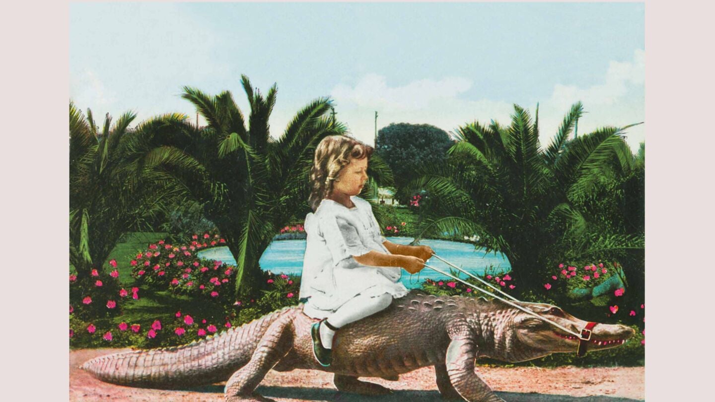Detalle de la portada de 'Los hechos de Key Biscayne', de Xita Rubert