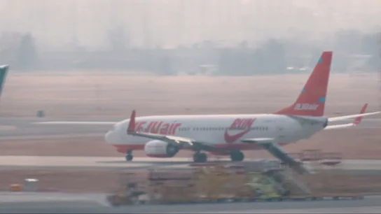 Los choques con pájaros, la amenaza imposible de evitar a la que se enfrentan los pilotos de avión Los choques con pájaros, la amenaza imposible de evitar a la que se enfrentan los pilotos de avión