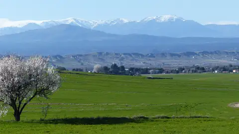 Vista de la cuenca del Jarama en primavera Vista de la cuenca del Jarama en primavera