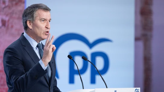 El presidente del Partido Popular (PP), Alberto Núñez Feijóo, en una imagen de archivo. El presidente del Partido Popular (PP), Alberto Núñez Feijóo, en una imagen de archivo.
