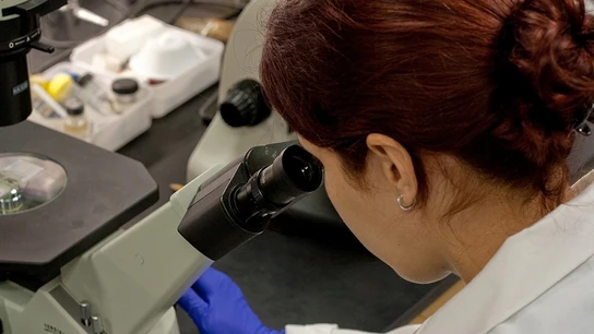 Científica observando por un microscopio. Científica observando por un microscopio.