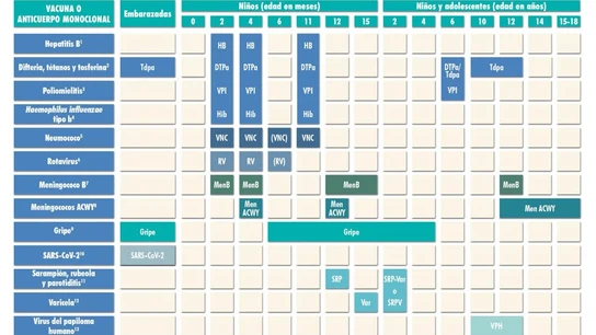 Calendario de vacunación infantil 2025 Calendario de vacunación infantil 2025