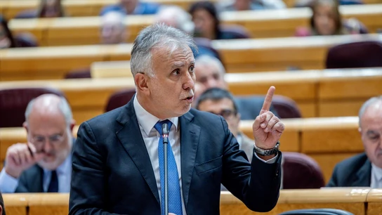 El ministro de Política Territorial y Memoria Democrática, Ángel Víctor Torres, en una imagen de archivo. El ministro de Política Territorial y Memoria Democrática, Ángel Víctor Torres, en una imagen de archivo.