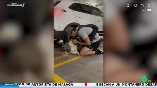 La emoción de una familia cuando su perra vuelve a casa por Navidad tras varios días desaparecida La emoción de una familia cuando su perra vuelve a casa por Navidad tras varios días desaparecida