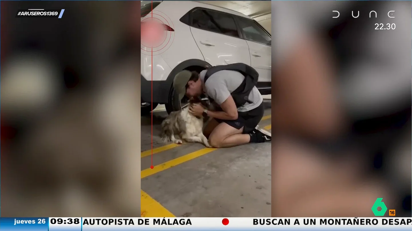 La emoción de una familia cuando su perra vuelve a casa por Navidad tras varios días desaparecida La emoción de una familia cuando su perra vuelve a casa por Navidad tras varios días desaparecida