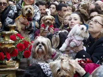 Fiestas de San Antón, Madrid Fiestas de San Antón, Madrid