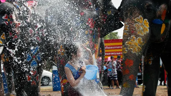 Fotografía de archivo que muestra a una mujer interactuando con un elefante en un festival en Tailandia Fotografía de archivo que muestra a una mujer interactuando con un elefante en un festival en Tailandia