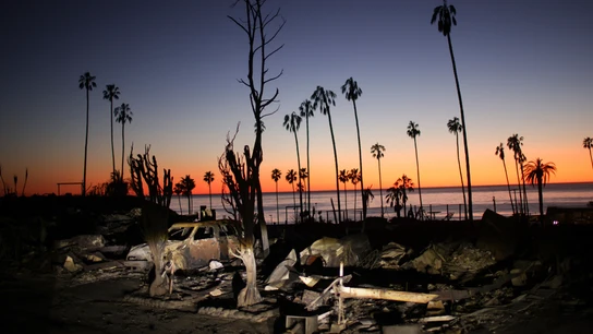 La devastación causada por el incendio de Palisades, en Los Ángeles, al atardecer del 14 de enero. La devastación causada por el incendio de Palisades, en Los Ángeles, al atardecer del 14 de enero.