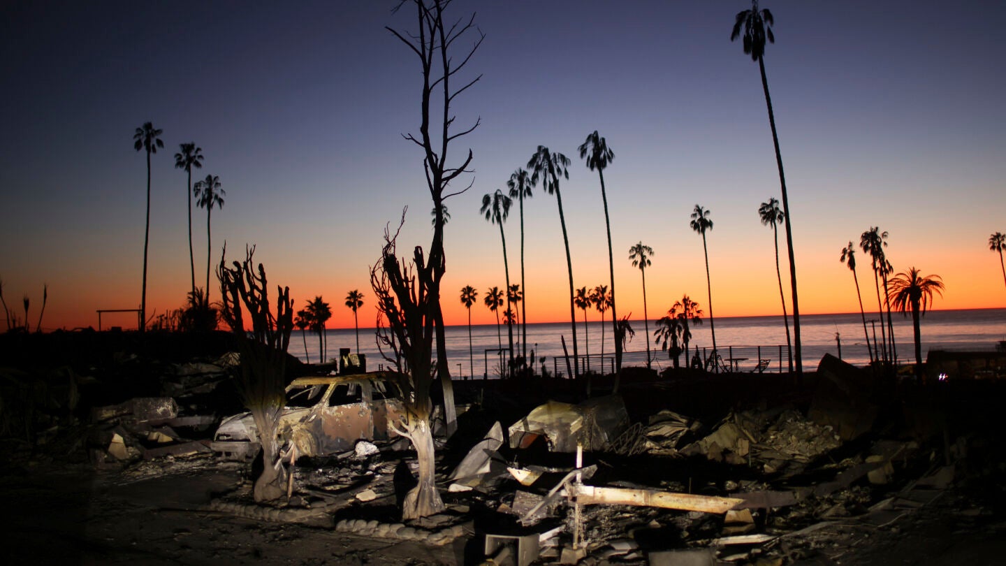 La devastaci&oacute;n causada por el incendio de Palisades, en Los &Aacute;ngeles, al atardecer del 14 de enero.
