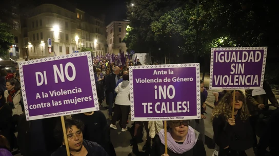 Imágenes de la manifestación con motivo del 25N en Málaga. Imágenes de la manifestación con motivo del 25N en Málaga.