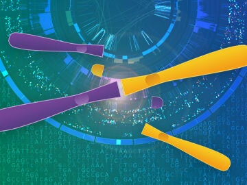 Nuevo mecanismo de mutaci&oacute;n que est&aacute; presente en aproximadamente el 50% de los casos de osteosarcoma de alto grado