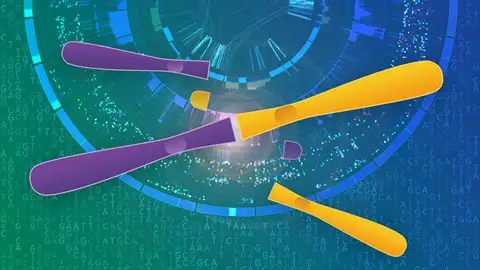 Nuevo mecanismo de mutación que está presente en aproximadamente el 50% de los casos de osteosarcoma de alto grado Nuevo mecanismo de mutación que está presente en aproximadamente el 50% de los casos de osteosarcoma de alto grado