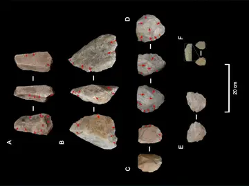herramientas líticas, Homo erectus herramientas líticas, Homo erectus