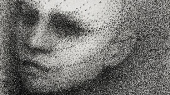 Cubierta de 'Minimosca', de Gustavo Faverón Patriau Cubierta de 'Minimosca', de Gustavo Faverón Patriau