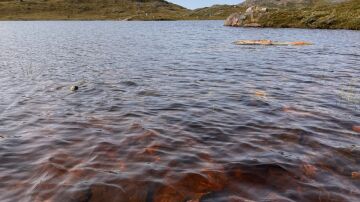 Lago cerca de Kangerlussuaq, en Groenlandia, que se ha vuelto marrón