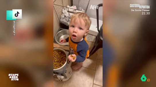 Una madre 'pilla' a sus hijos comiendo un cuestionable tentempié: "Cómo deben cocinar en esa casa..." Los niños decidieron robarle la comida a otro miembro de su familia: el perro. Los pequeños, al ser descubiertos, decidieron dejar todo el pienso que tenían en el comedero pero su reacción ante la 'pillada' ha conseguido hacerse viral.