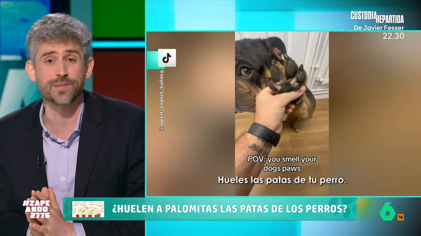 ¿Por qué las patas de los perros huelen a nachos? Víctor Algra lo explica en Zapeando ¿Por qué las patas de los perros huelen a nachos? Víctor Algra lo explica en Zapeando