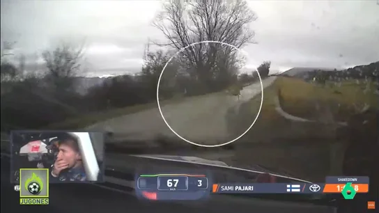 Los reflejos de un piloto de Rally salvan la vida a unos ciervos Los reflejos de un piloto de Rally salvan la vida a unos ciervos