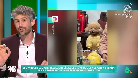 ¿Es verdad el mito de que todos los perros se parecen a su dueño? Víctor Algra desvela qué dice la ciencia El veterinario expone que "nos parecemos más de lo que pensamos". Algra apunta a un estudio en el que pidieron a unos voluntarios emparejar fotografías de perros con sus dueños. Y los resultados fueron sorprendentes.