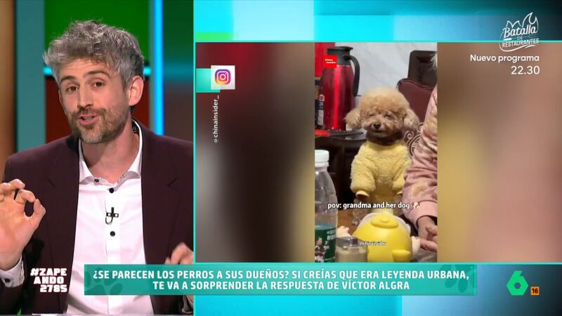 ¿Es verdad el mito de que todos los perros se parecen a su dueño? Víctor Algra desvela qué dice la ciencia