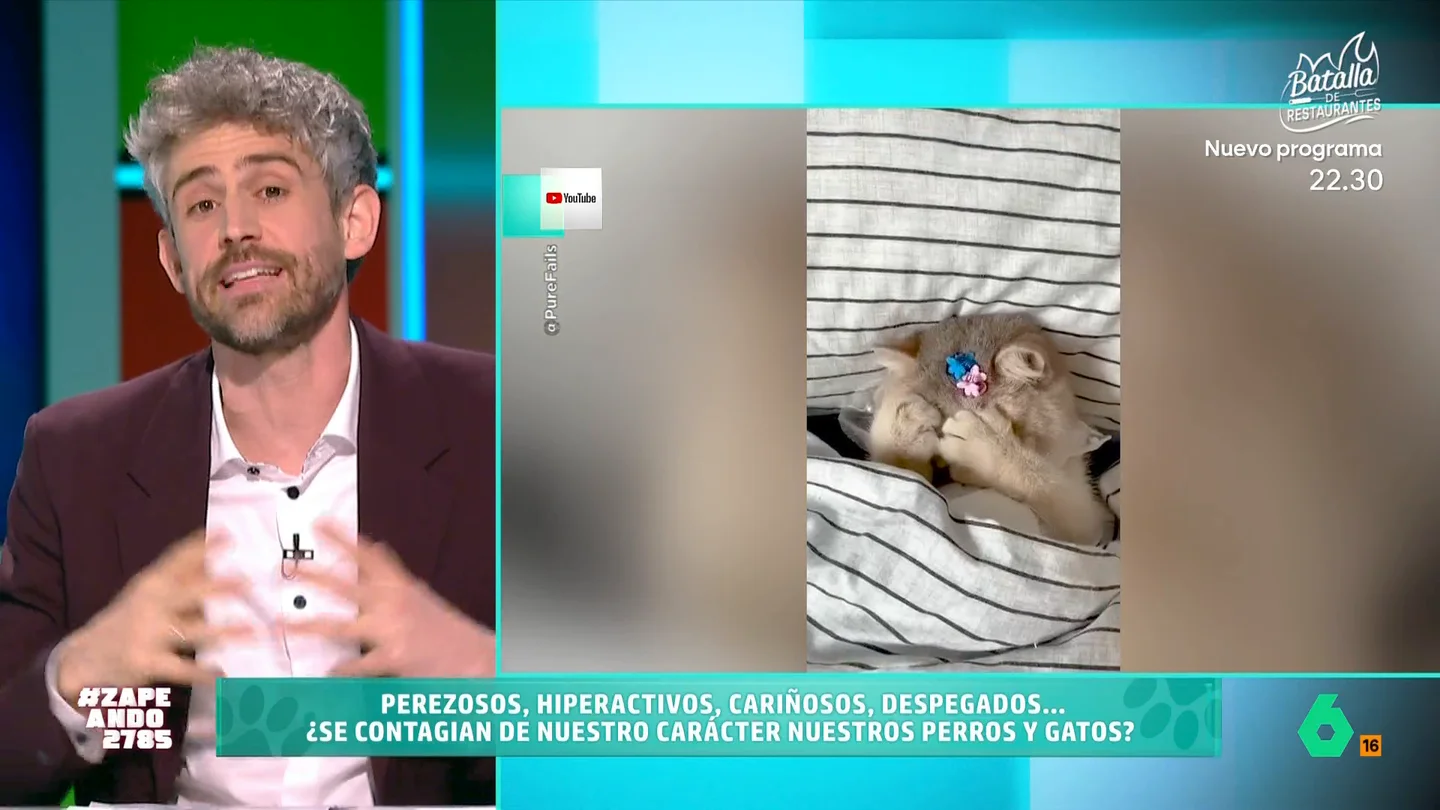 ¿Influye nuestra personalidad en el comportamiento de nuestras mascotas? Víctor Algra lo desvela en Zapeando El veterinario indica que hay emociones que las mascotas experimentan que pueden estar influenciadas por el comportamiento de los humanos. Además, un estudio publicado en 'Nature' demostró que es posible transmitir nuestro estrés a nuestra mascota.