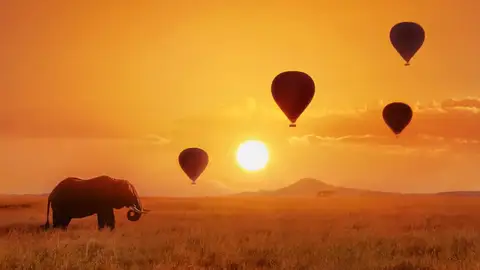 Paseo en globo por Masái Mara Paseo en globo por Masái Mara